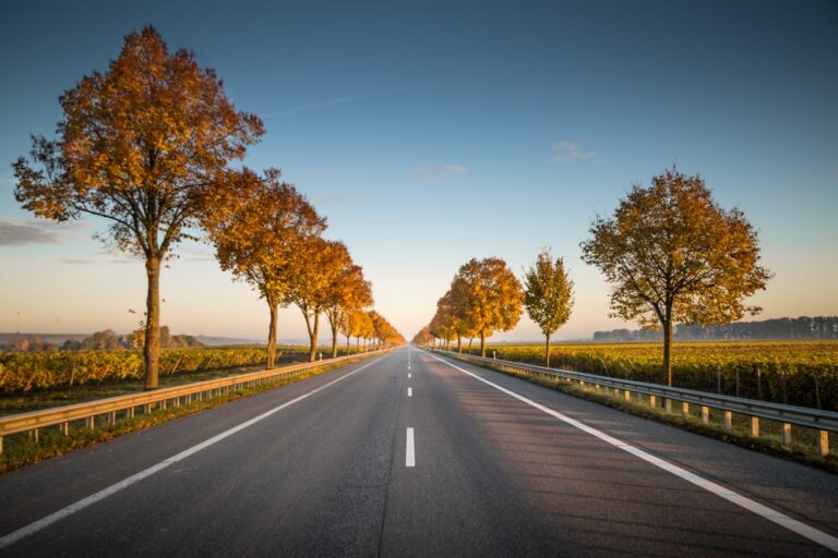 Motoryzacja i ochrona środowiska – inicjatywy branżowe w Europie